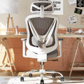 Mesh Ergonomic Office Chair